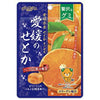 Senjakuame Honpo - Ehime no Setoka Orange Gummy / 扇雀飴本舗 - 贅沢なグミ 愛媛のせとか